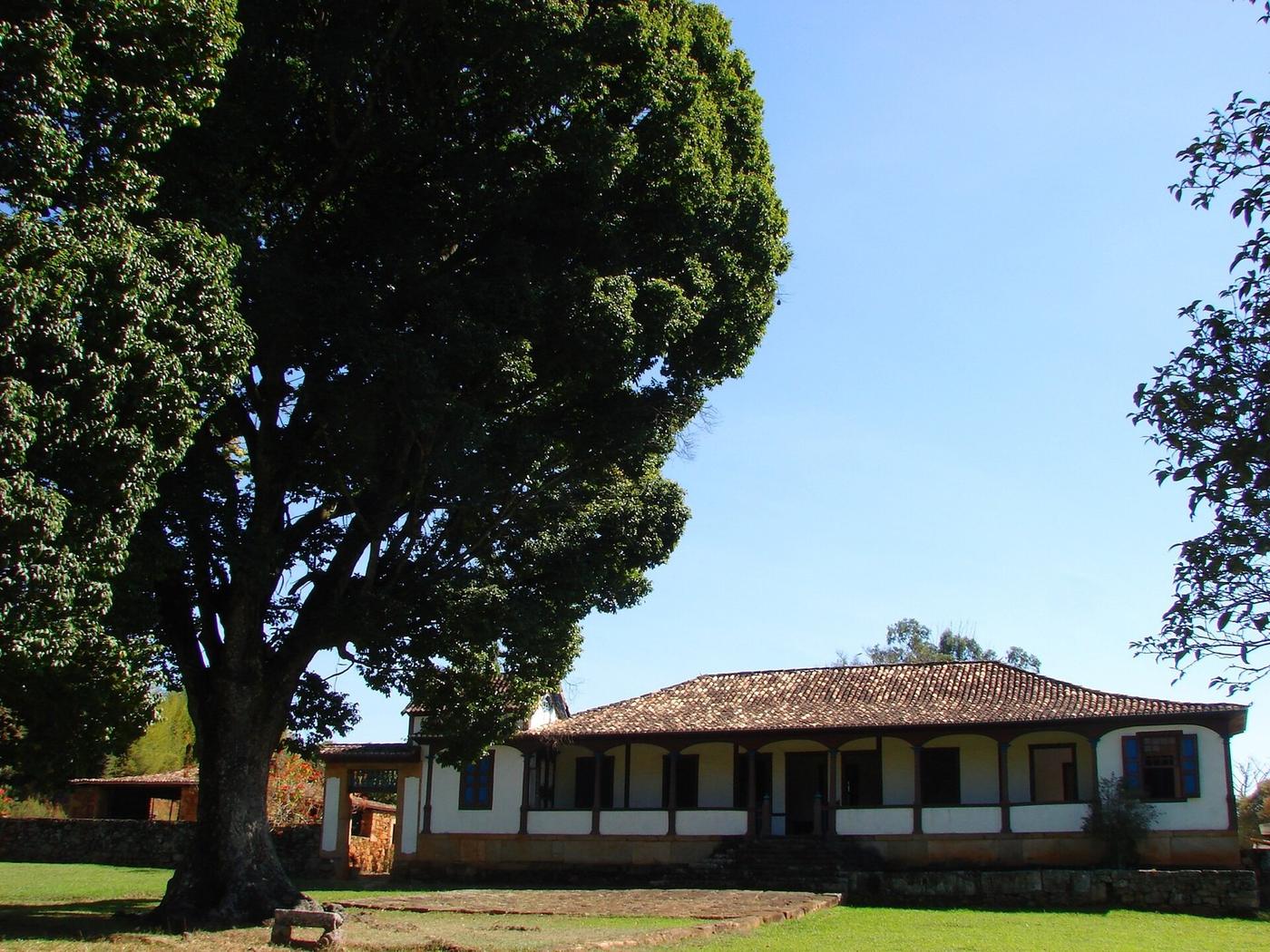 Casa sede de fazenda com varanda, sob uma grande árvore